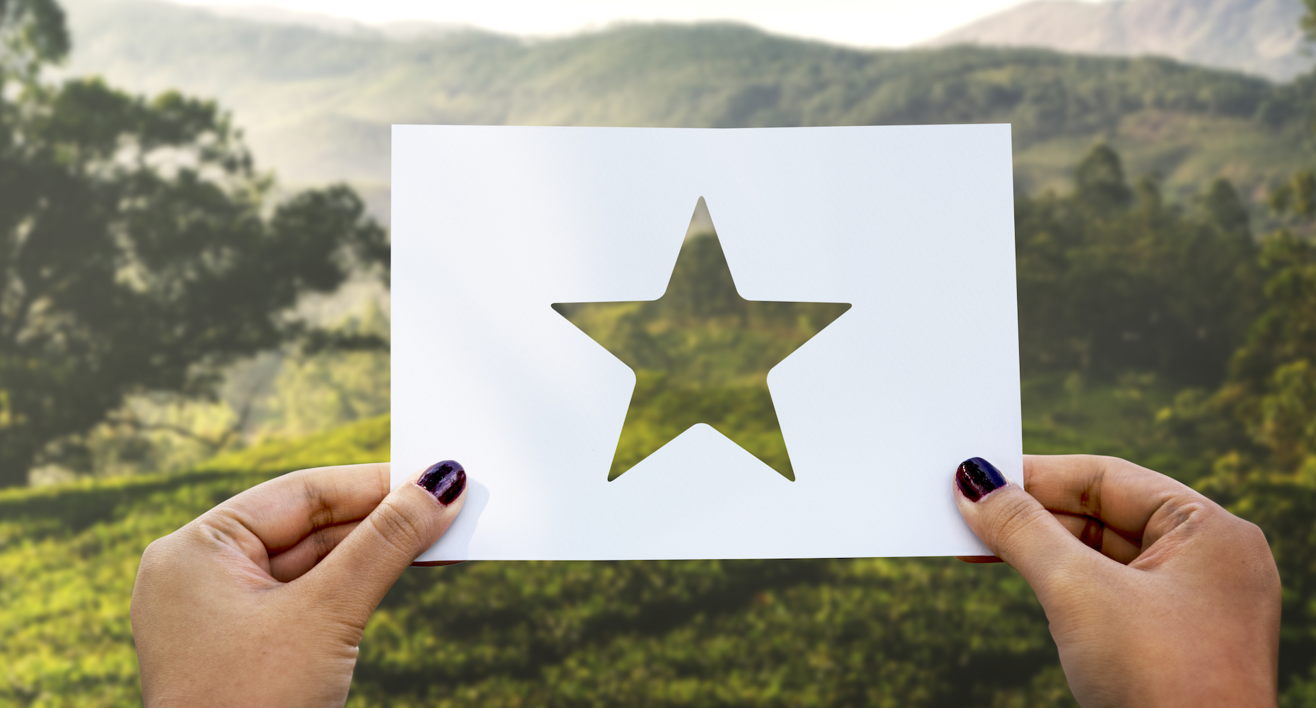 Banner showing cut-out reviews star